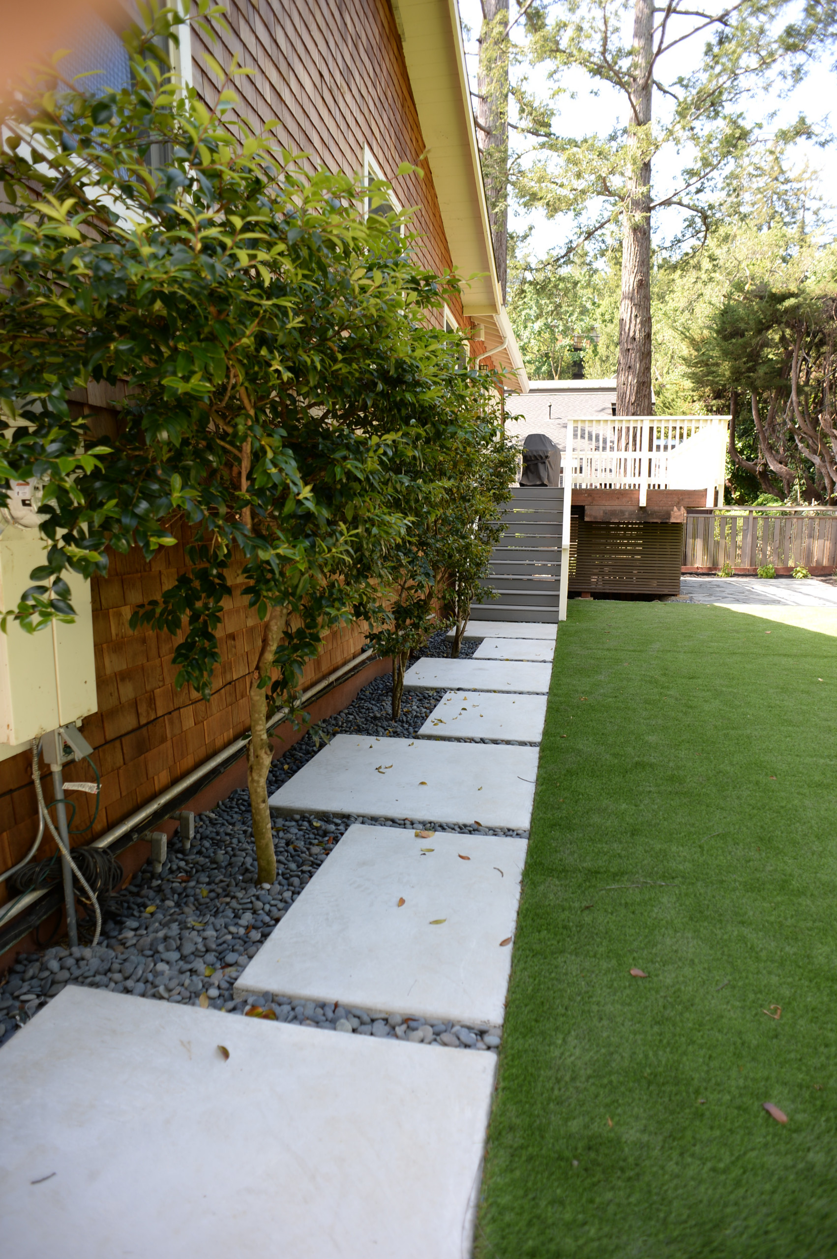 Fernandez Residence - Kentfield