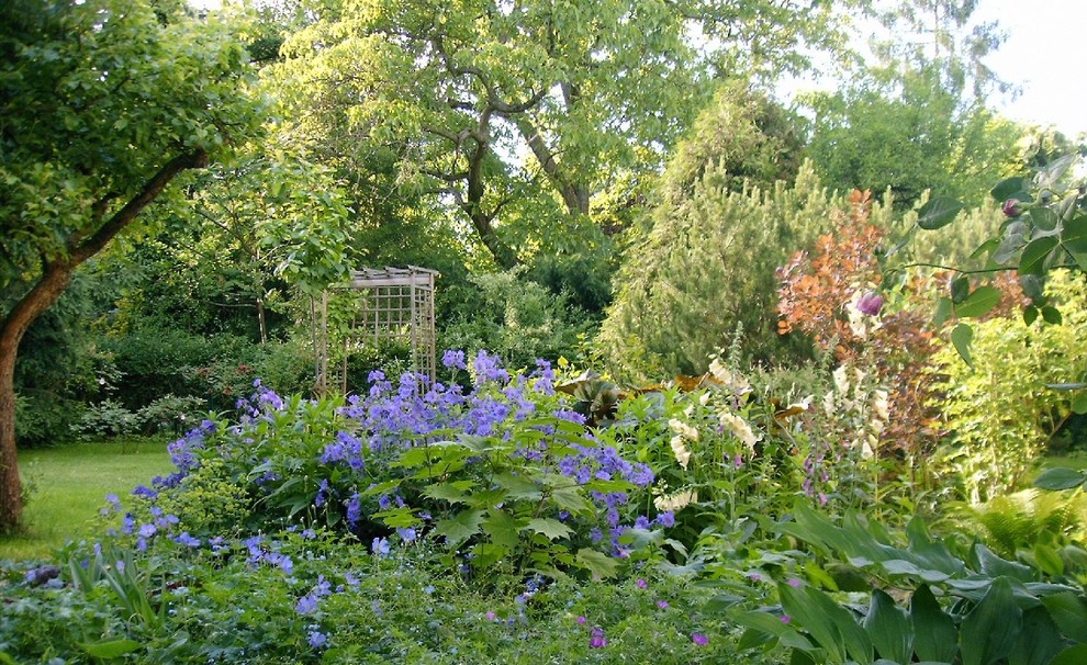 Cette image montre un jardin rustique.