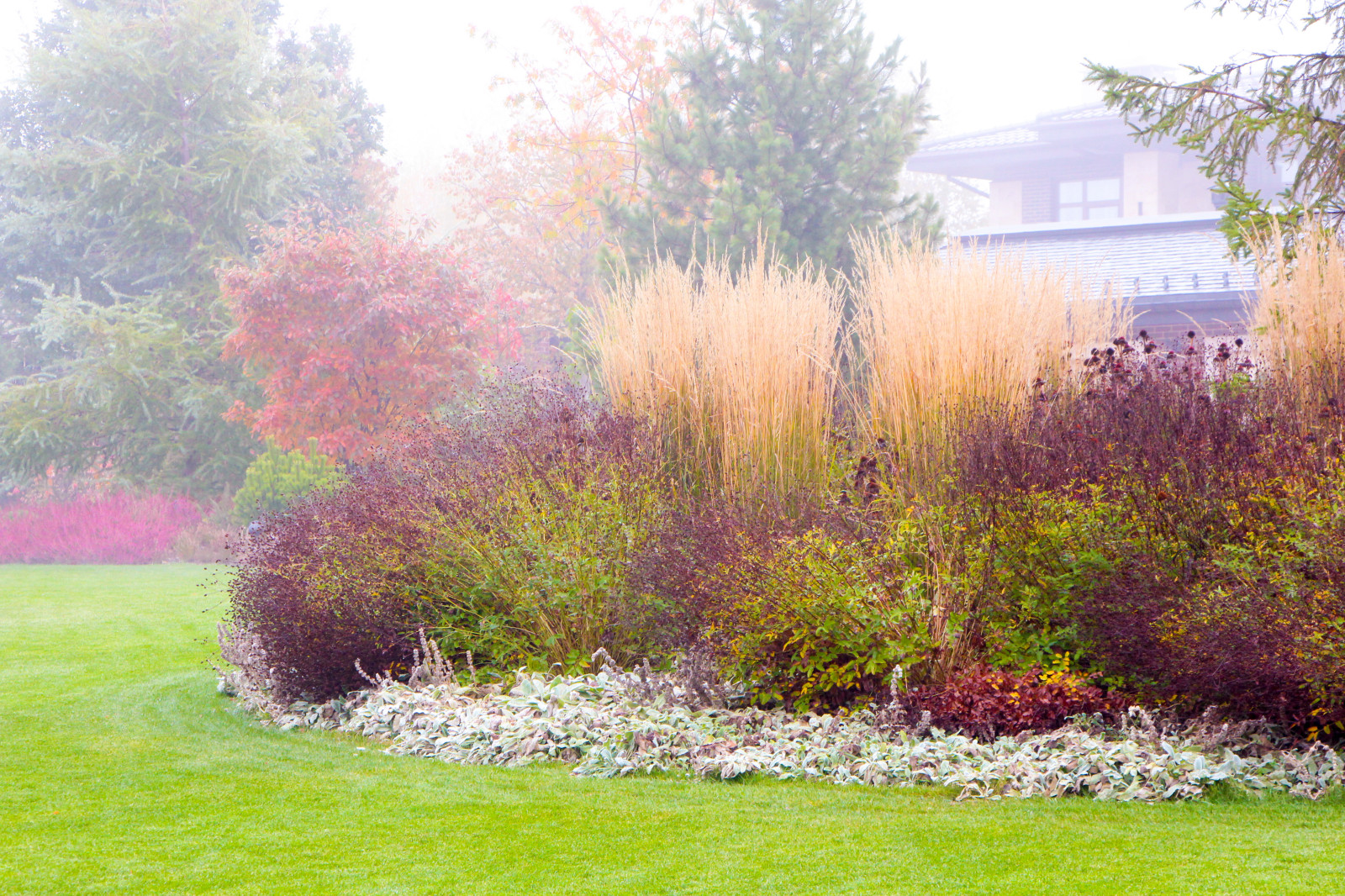 Горки-10, 2017-2020 г.г.