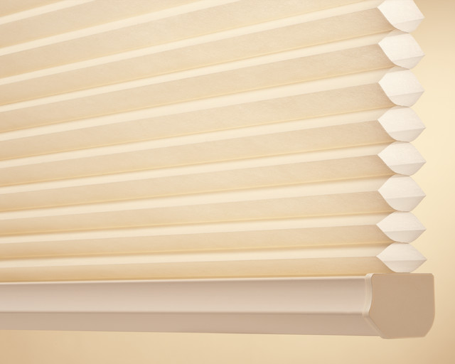 Applause Shades Tampa by Shutter Blinds & Designs Houzz UK