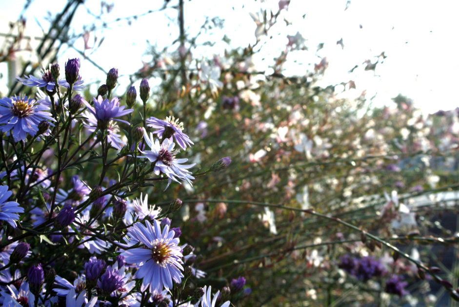 Garten zum Wohlfühlen und Feiern