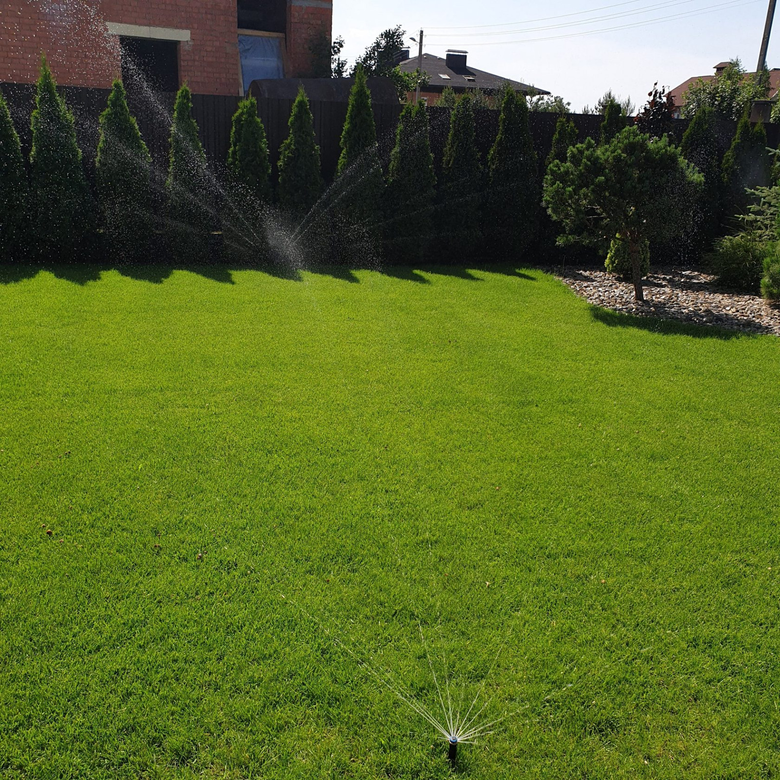 Автополив + газон