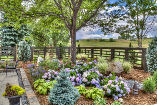 Modern Landscape modern-garden