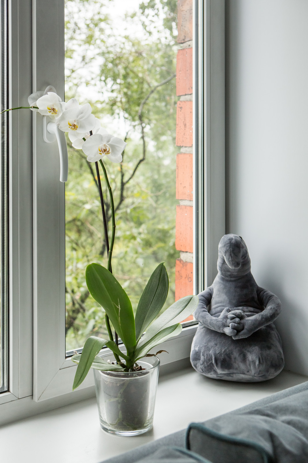 Vassa Vodzumi for Houzz