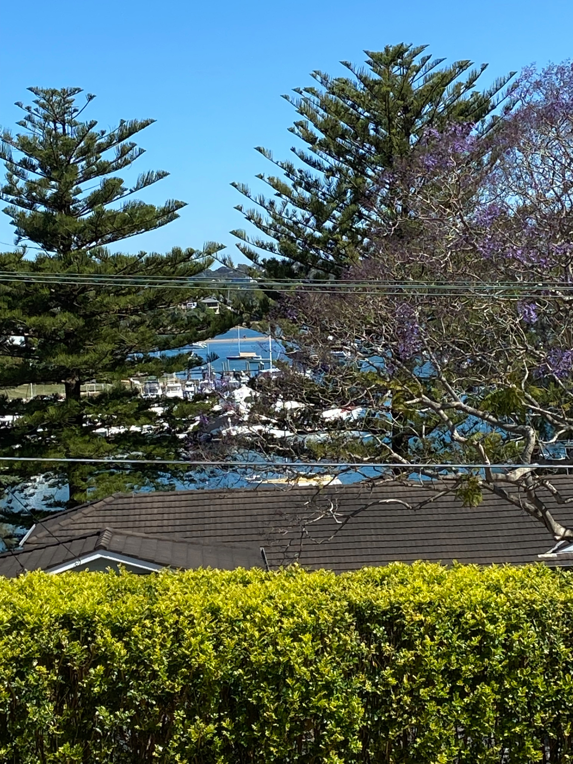 COASTAL GEM SPARKLES AGAIN