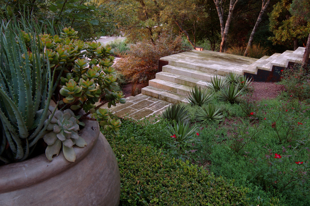 Design ideas for a traditional sloped garden in Austin with a vertical garden and natural stone pavers.