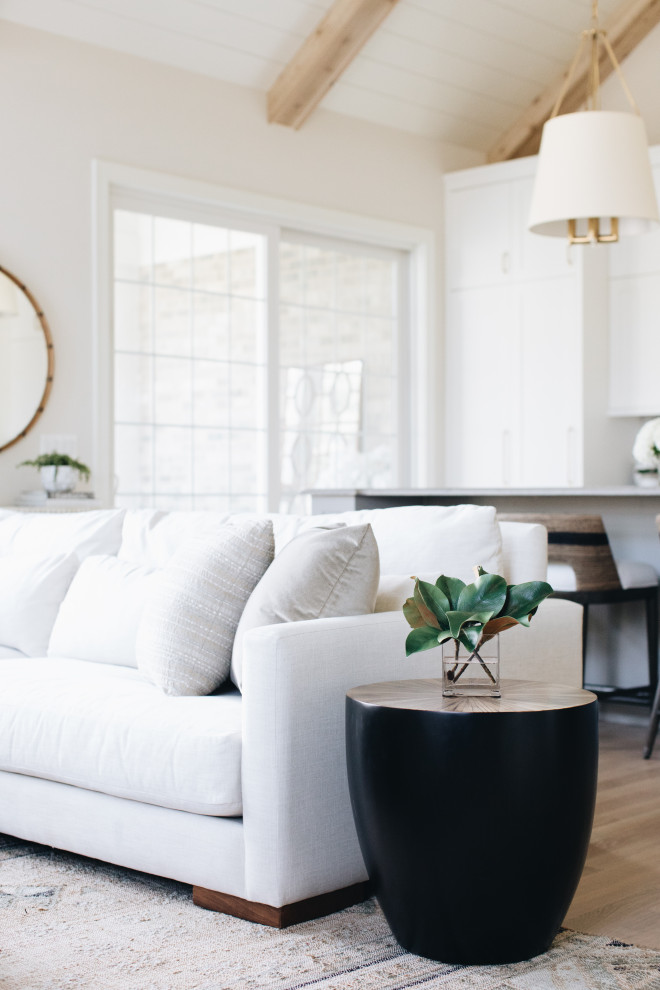 Home design - transitional home design idea in Chicago
