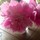 Last commented by Mayura Rutherford