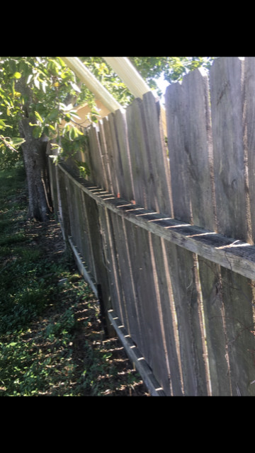 Reinforced Repaired Wood Fence