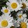 karyn_lynn7916480