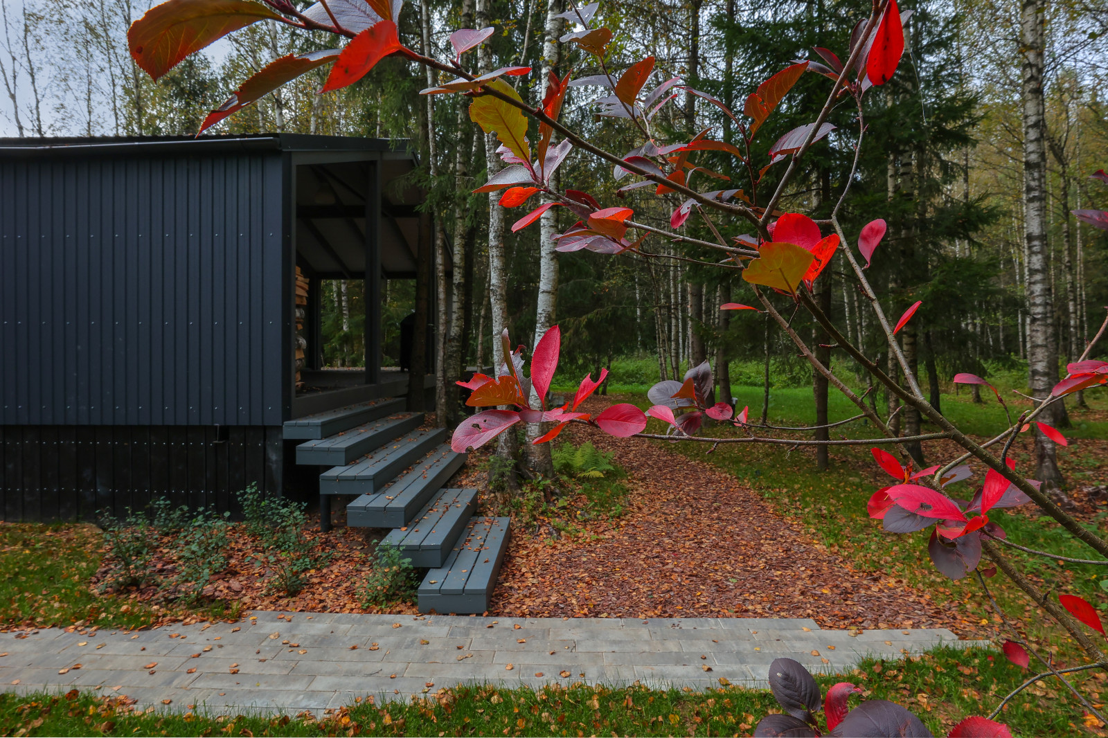 Частный сад в КП "Снегири". Осень.