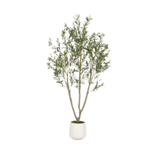 VIVATREES Olive Trees Artificial Indoor, 6FT Tall Faux Olive Tree with White Tall Planter, Artificial Plants with Natural Wood Trunk and Lifelike Fruits for Home Office Decor