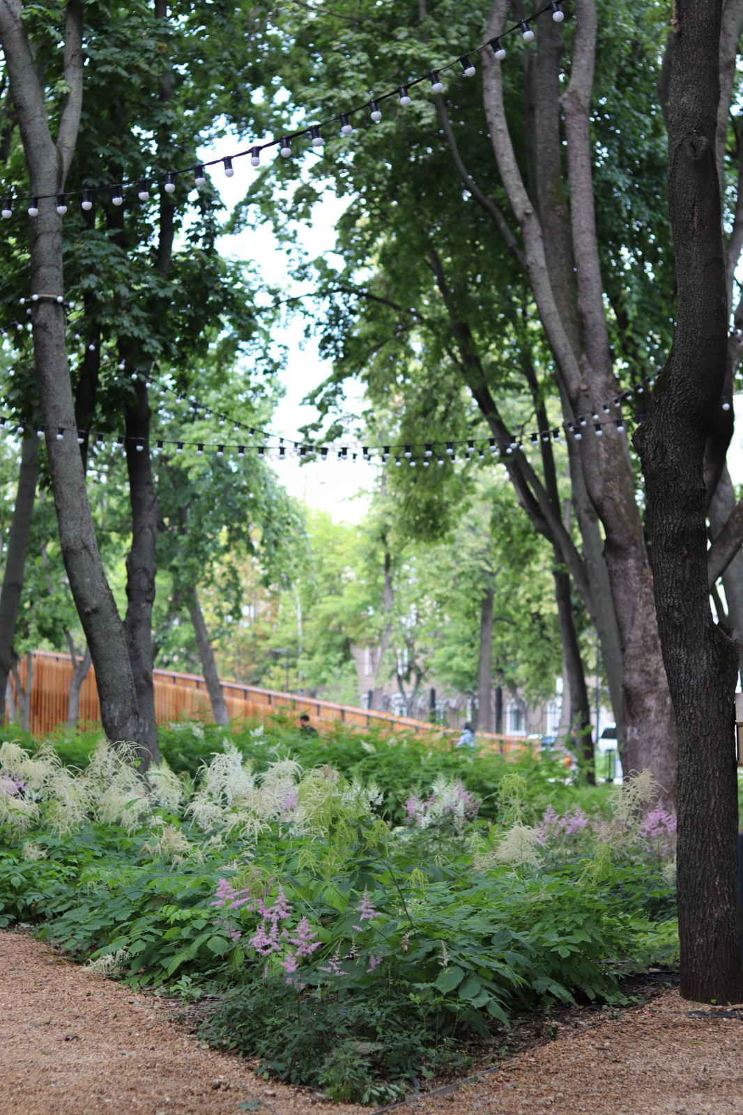 Парк Орленок