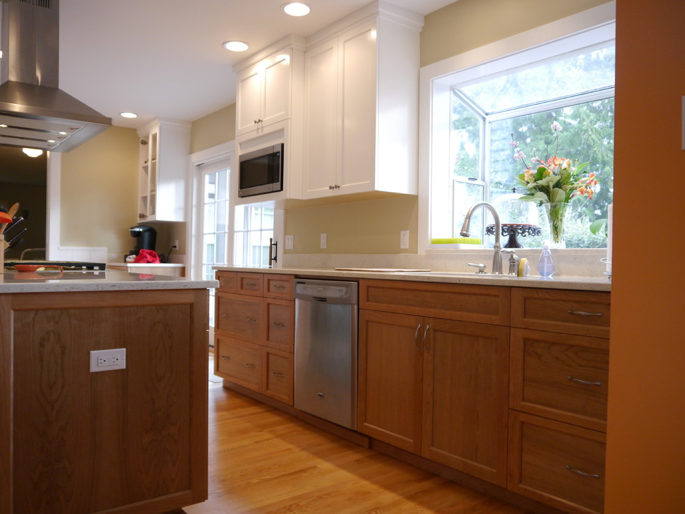 Kitchen - transitional kitchen idea in Seattle with an undermount sink, shaker cabinets, quartzite countertops, stainless steel appliances and an island