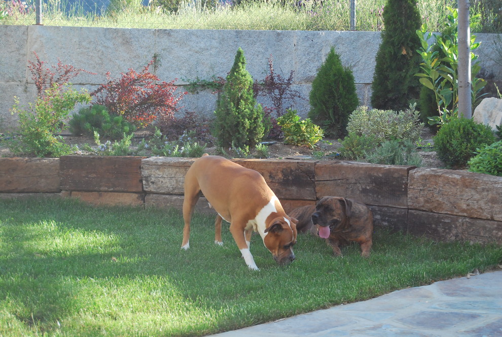Jardines con mascotas