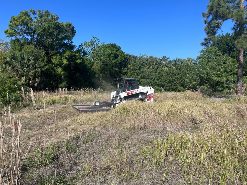Commercial Landscape Clean- Up