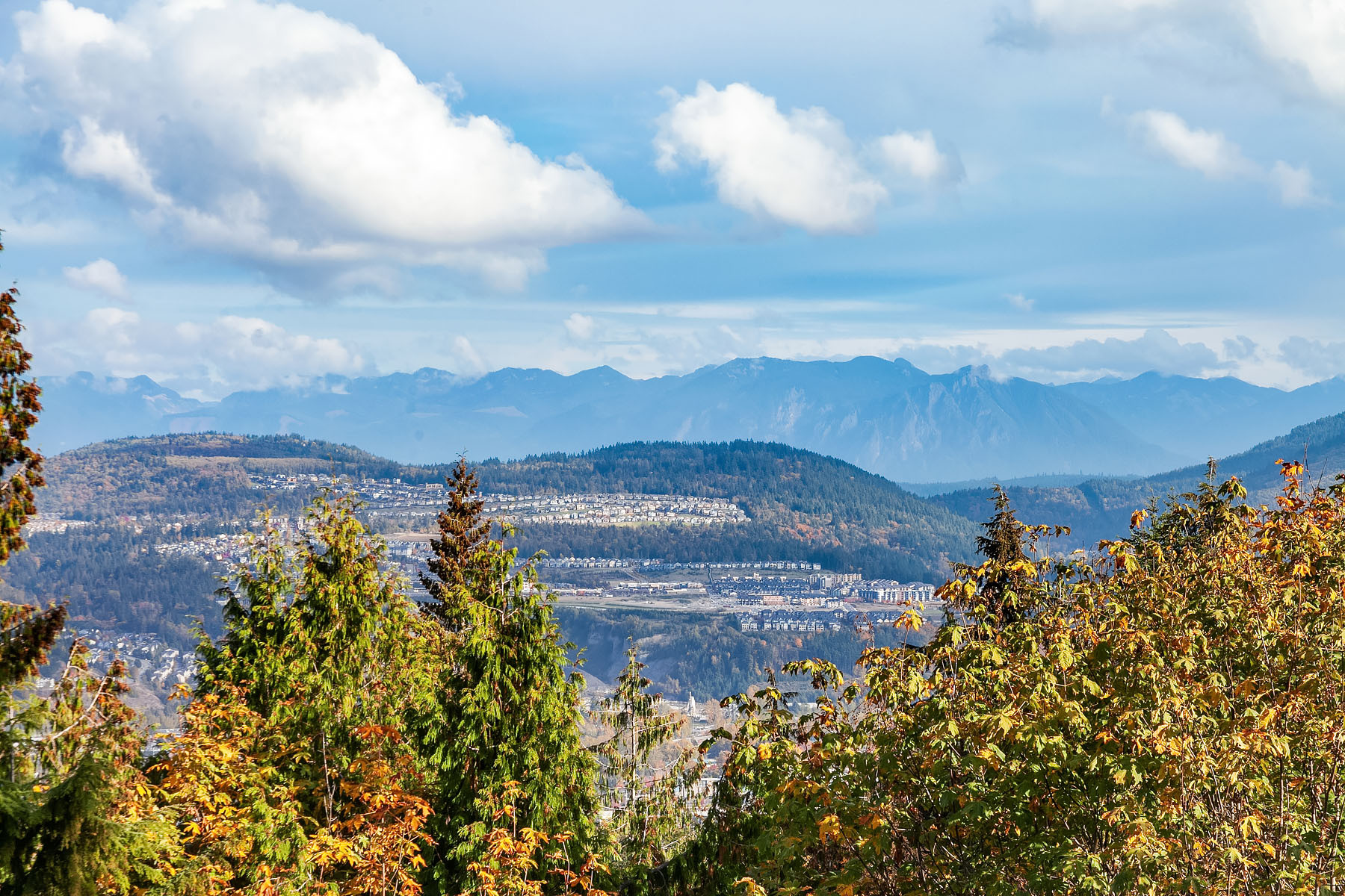 Cougar Mountain View