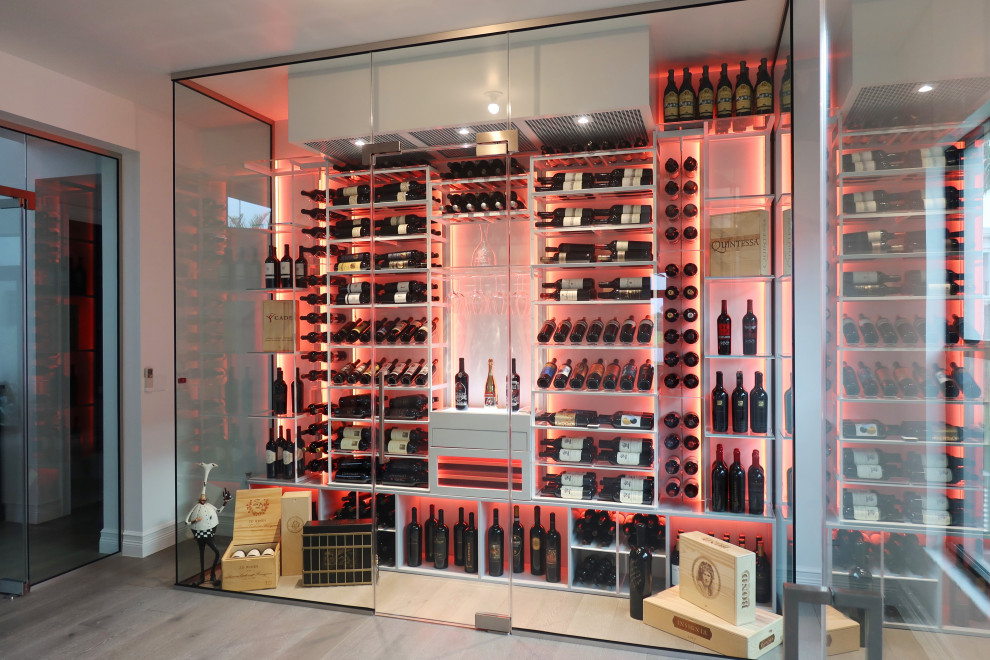 Inspiration for a modern wine cellar in Miami.