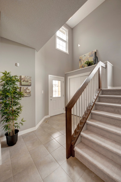Image Model transitional-entry