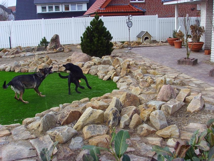 Hundegerechter Garten – So machen Sie Ihren Hund glücklich!