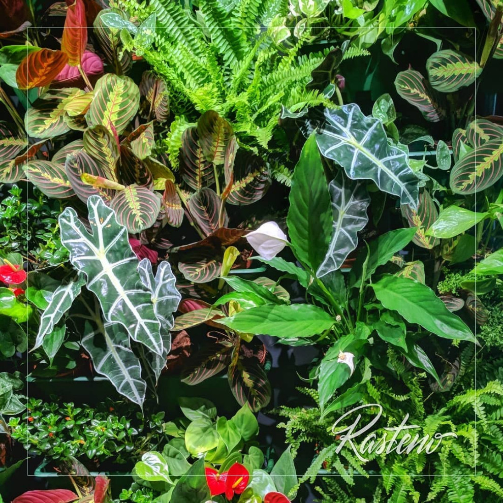 Вертикальное озеленение. Живая фитостена с автополивом.