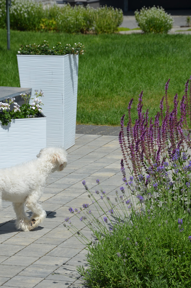 Мягкий и пушистый