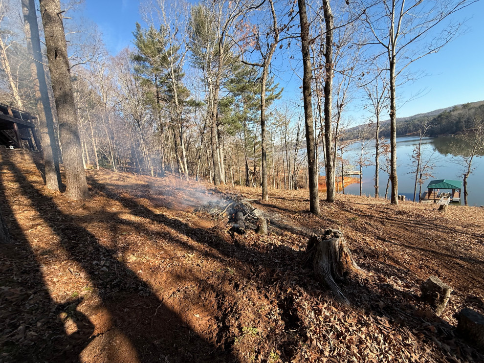 Lake Haven Lodge Tree Clearing