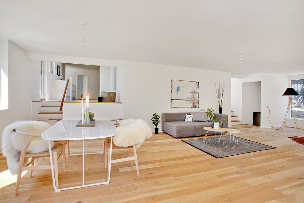Photo of a scandinavian living room in Copenhagen.