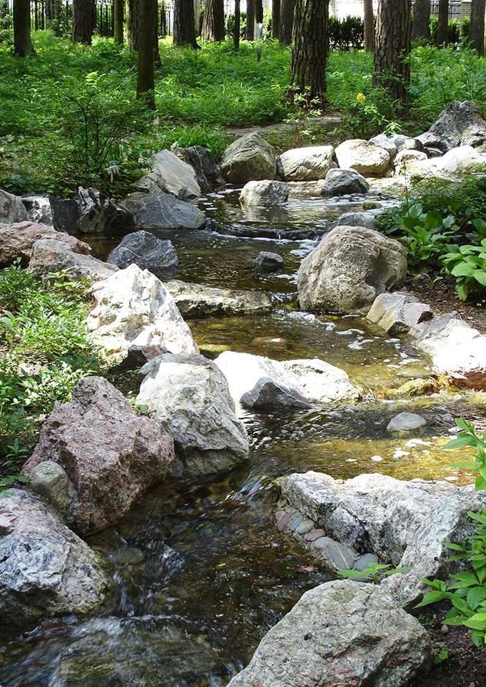 Сад с водоемом в КП " Сосновый Бор"