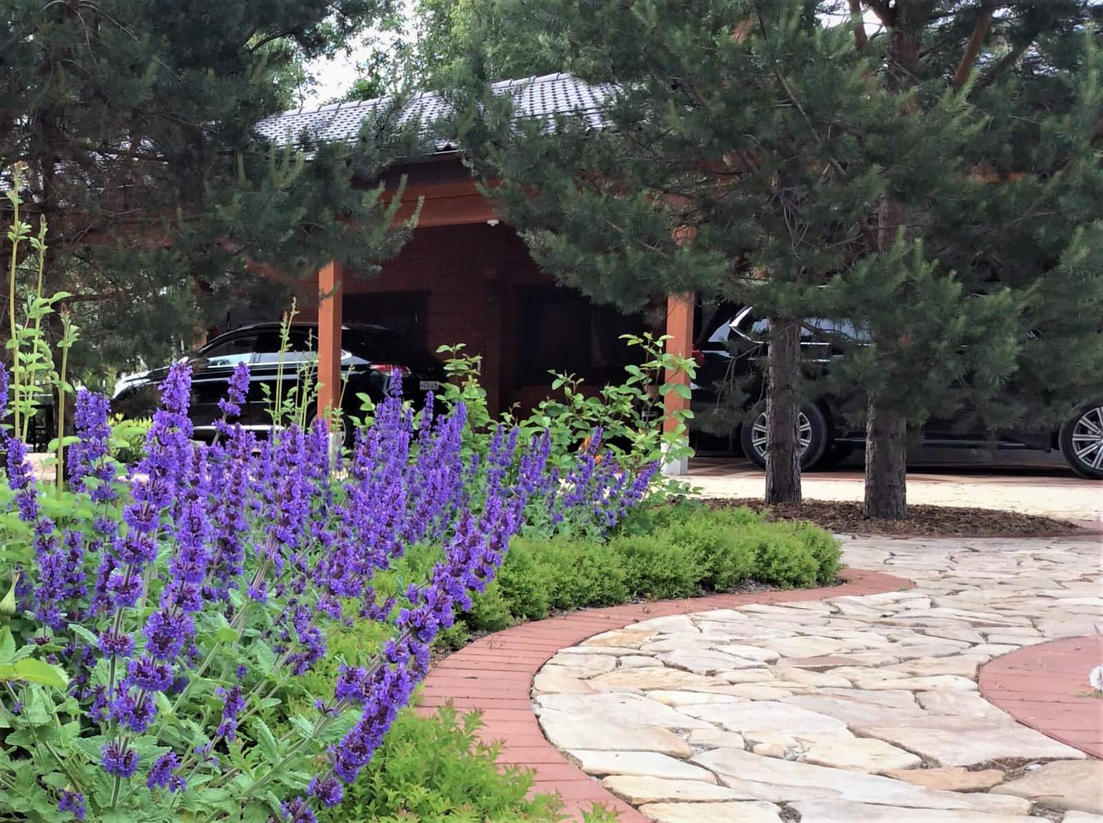 ПОЛЕТ ШМЕЛЯ