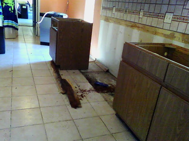 Kitchen Water Damage