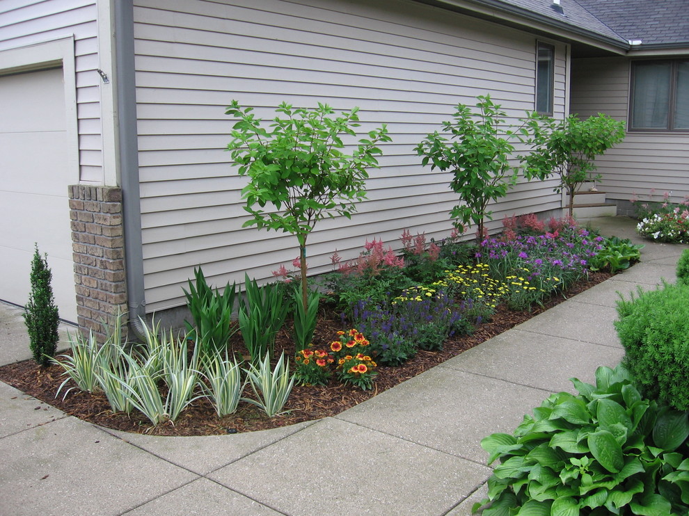 Small Condo Entrance Garden Traditional Landscape Grand Rapids By Specialty Gardens