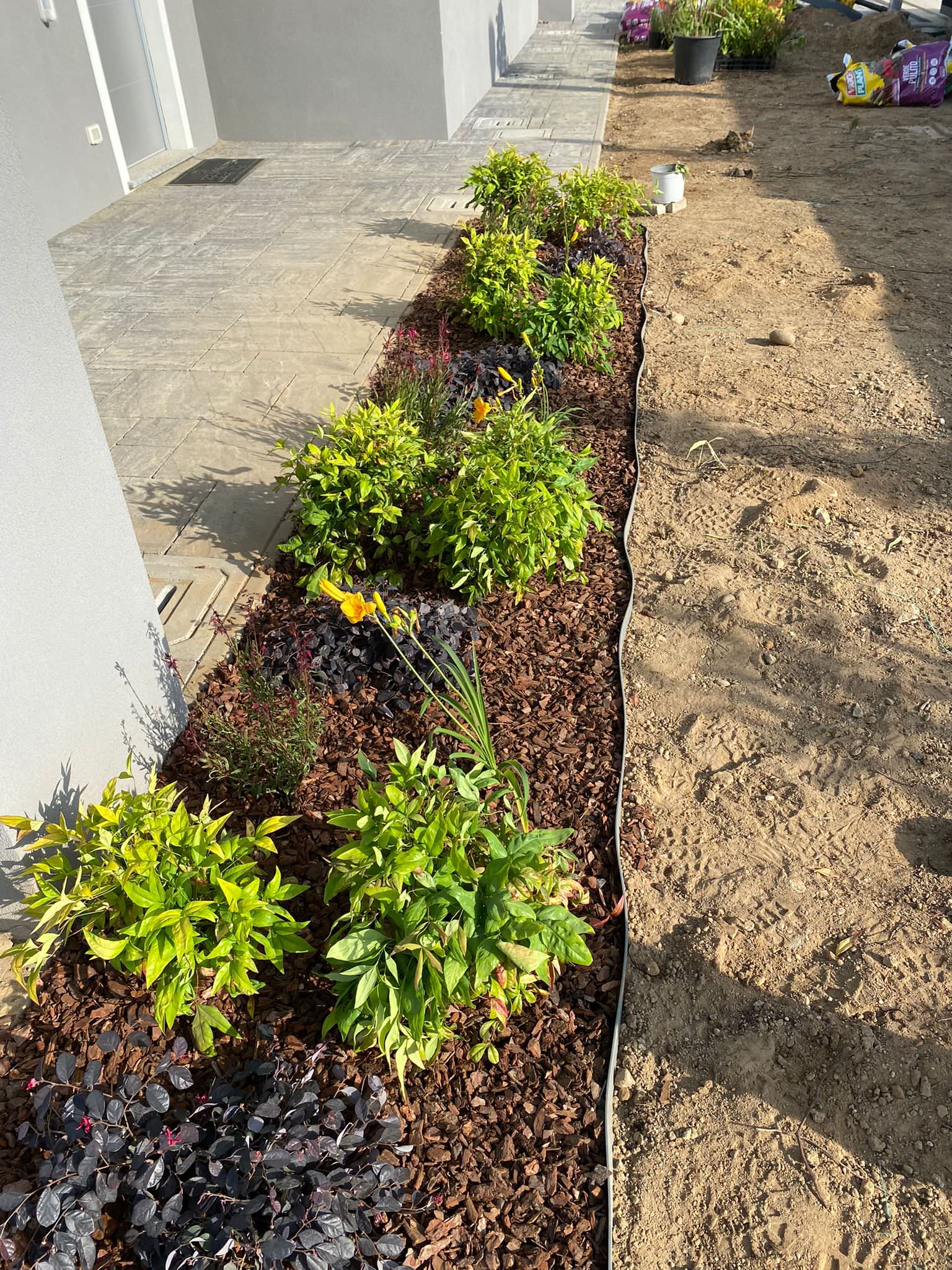 Realizzazione Giardino per villa moderna