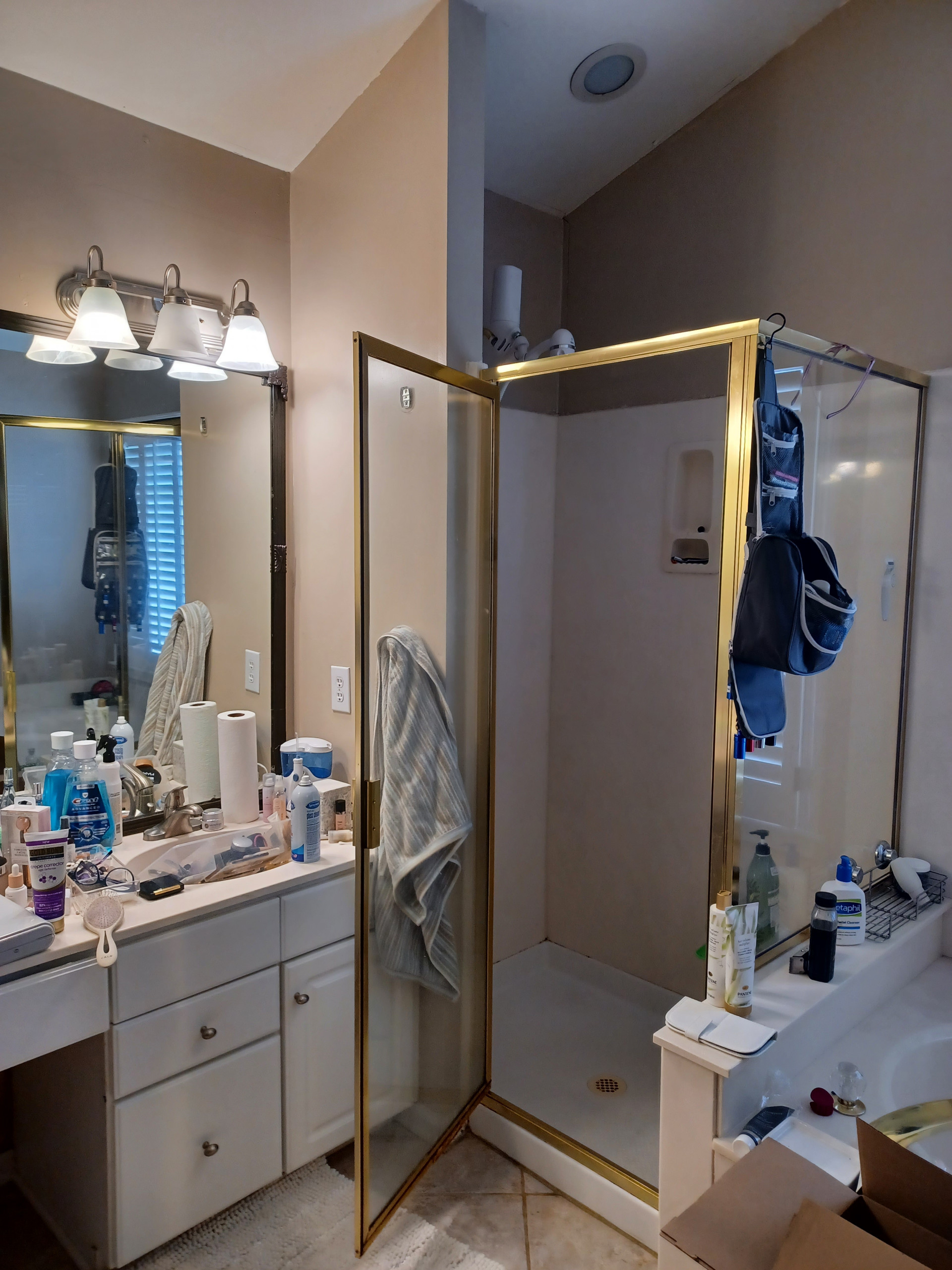 Mireya Bathroom Remodel