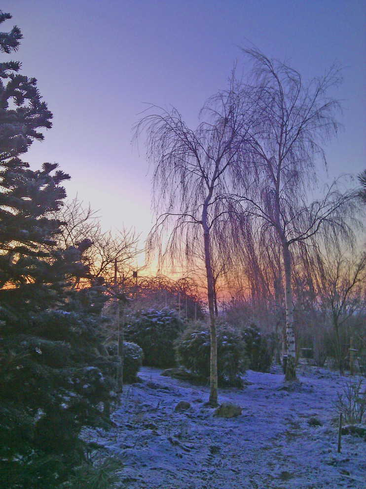 Наш собственный сад