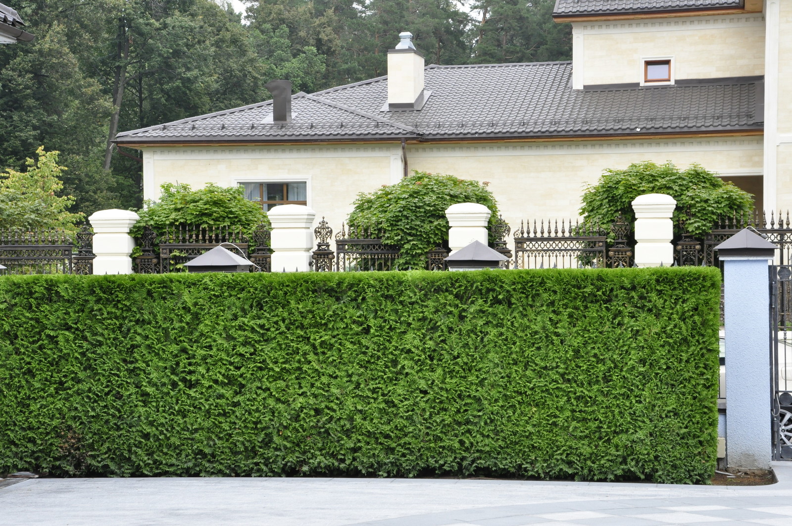 кп "Усово" - Уход за садом - 100% качество