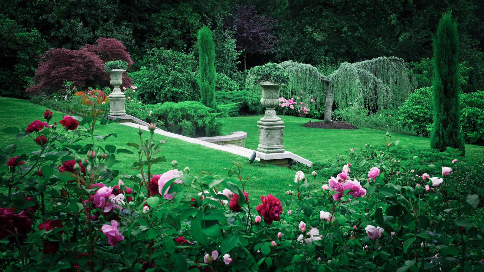 Суррей Времена Года