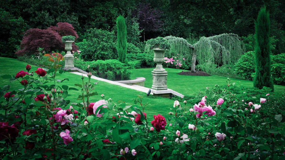 Суррей Времена Года