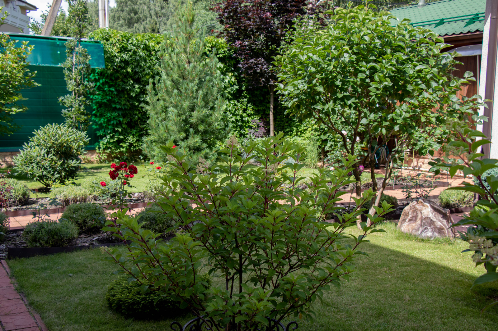 Французский садик в поселке Рыбаки Дмитровское шоссе