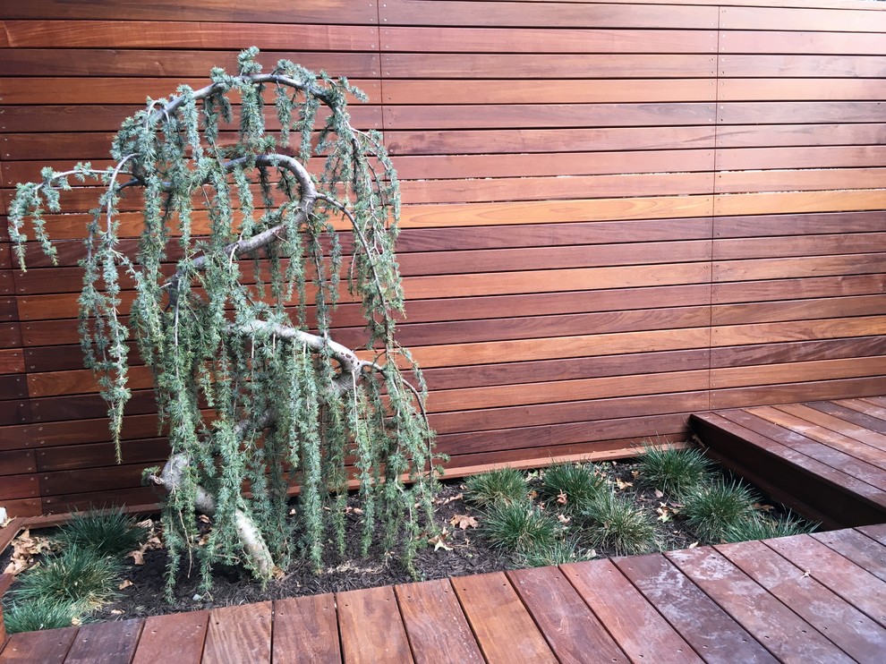 Photo of a mid-sized midcentury side yard garden in Kansas City with decking.
