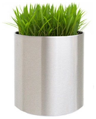 Knox Brushed Stainless Steel Planter, Large