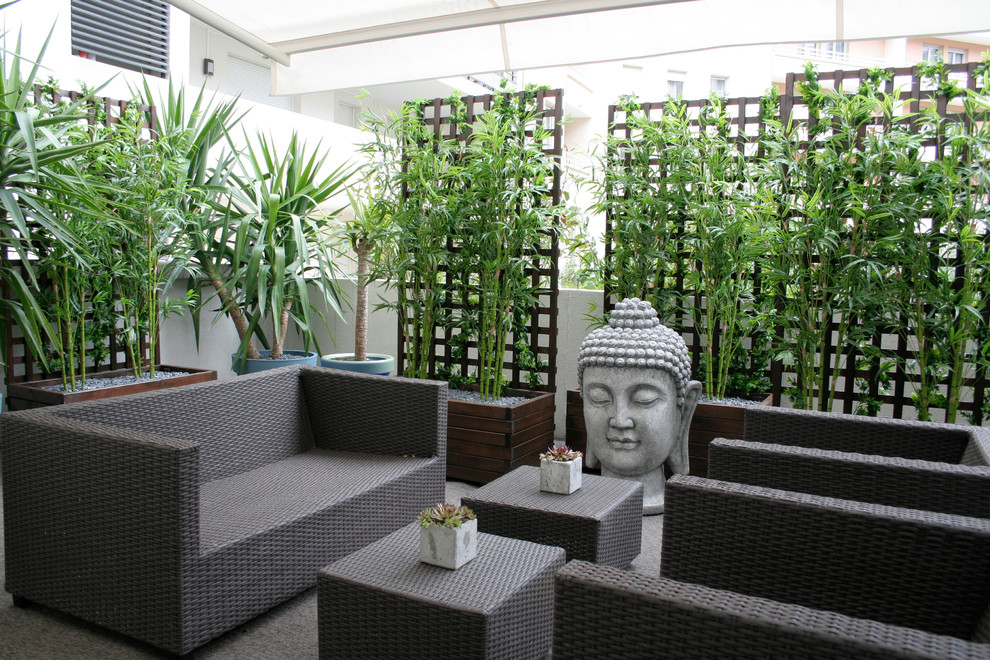 This is an example of a mid-sized asian backyard patio in Other with a container garden and an awning.
