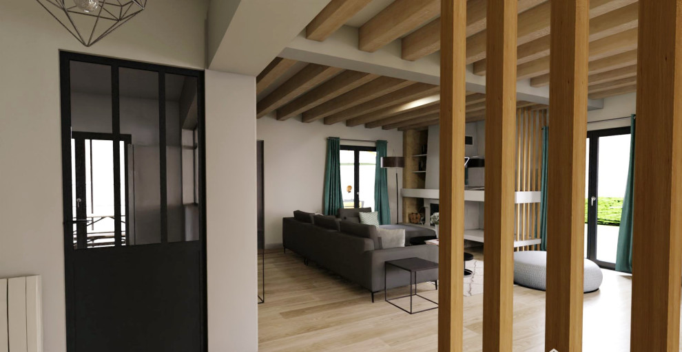 3D Rénovation maison ( projet déco et suivi travaux )