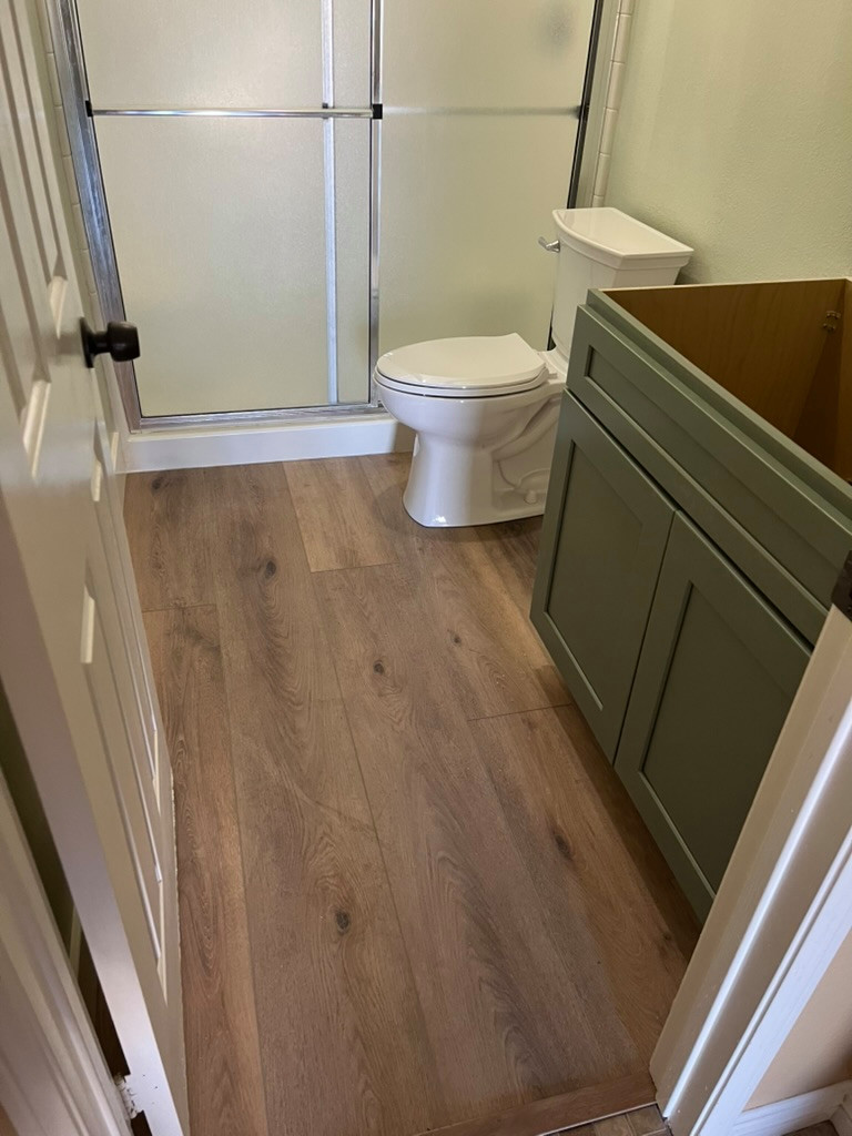 Vanity / LVP install