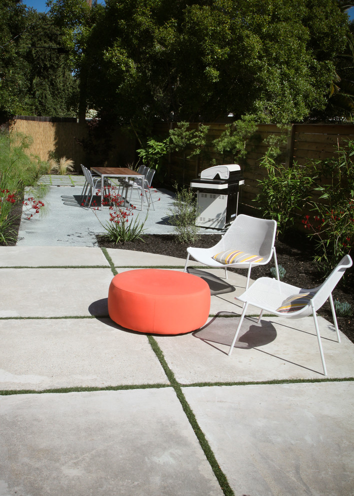 Design ideas for a contemporary backyard garden in San Francisco.