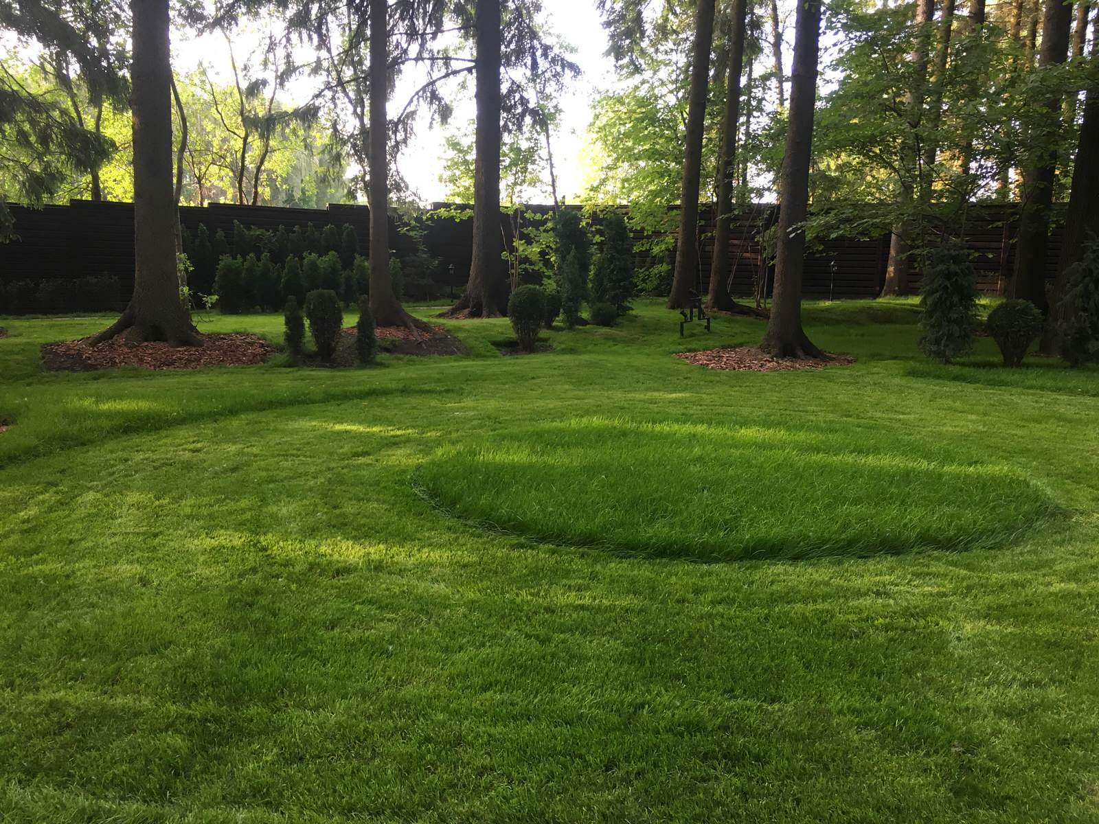 Проект Грибово