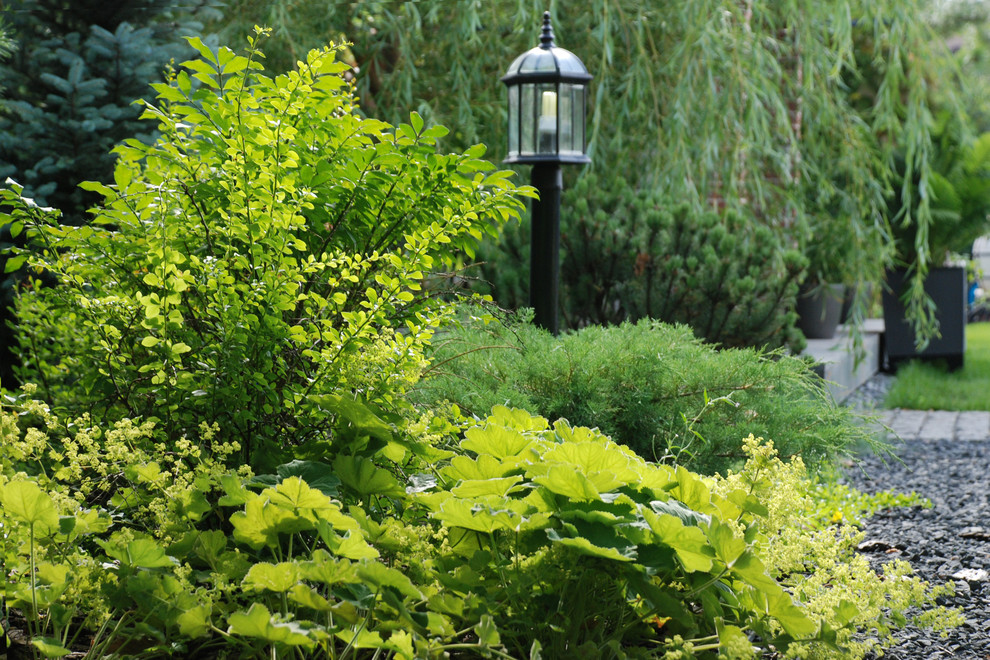 Променад. Киевское шоссе.