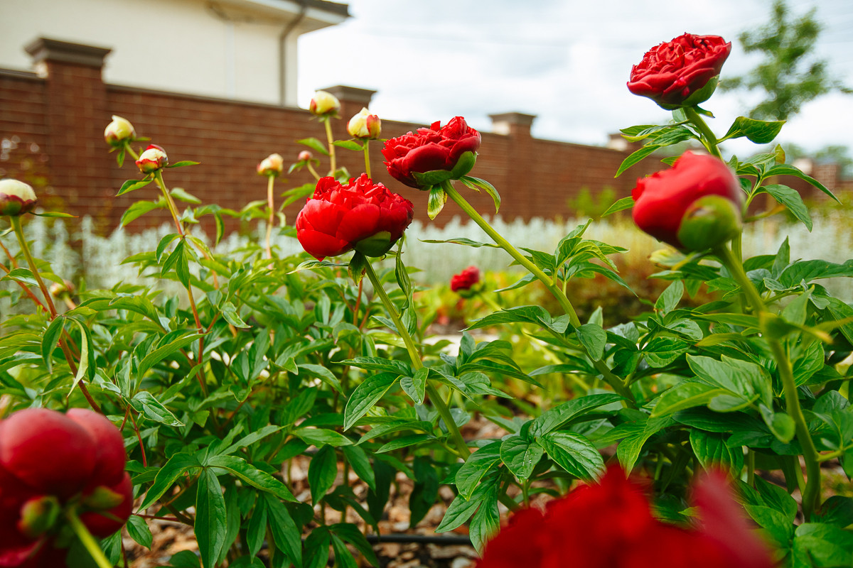 Сад "Витражи". Серебряная медаль конкурса "Ландшафтная осень-2016"