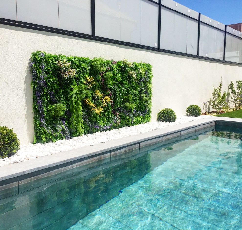 Photo of a small contemporary full sun garden in Madrid with a vertical garden and concrete pavers.