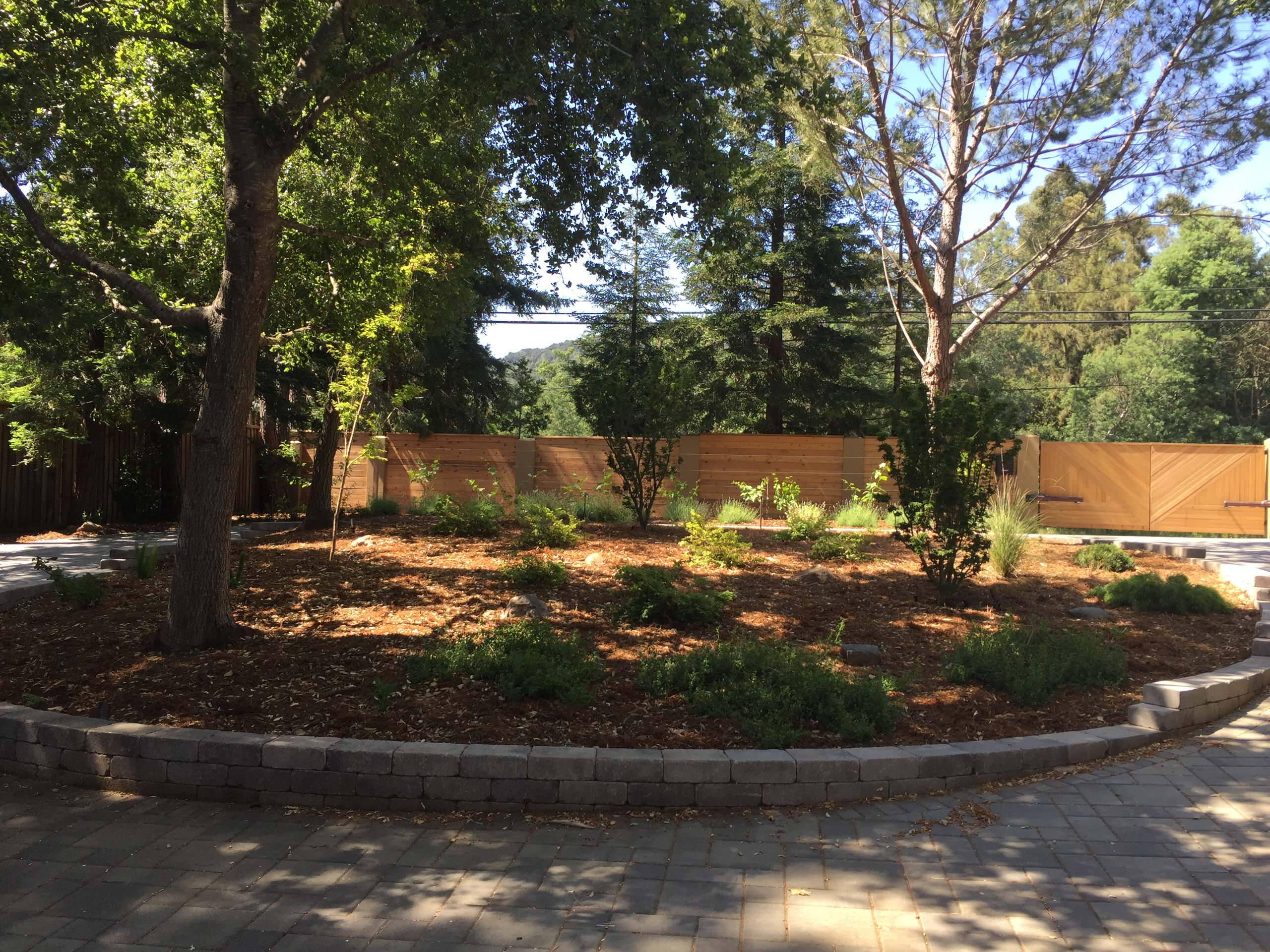 Monte Sereno Remodel